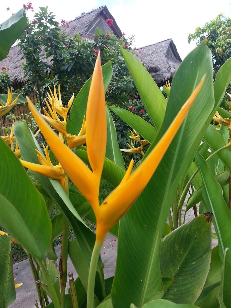 Bird Of Paradise Bungalows Kep Ngoại thất bức ảnh
