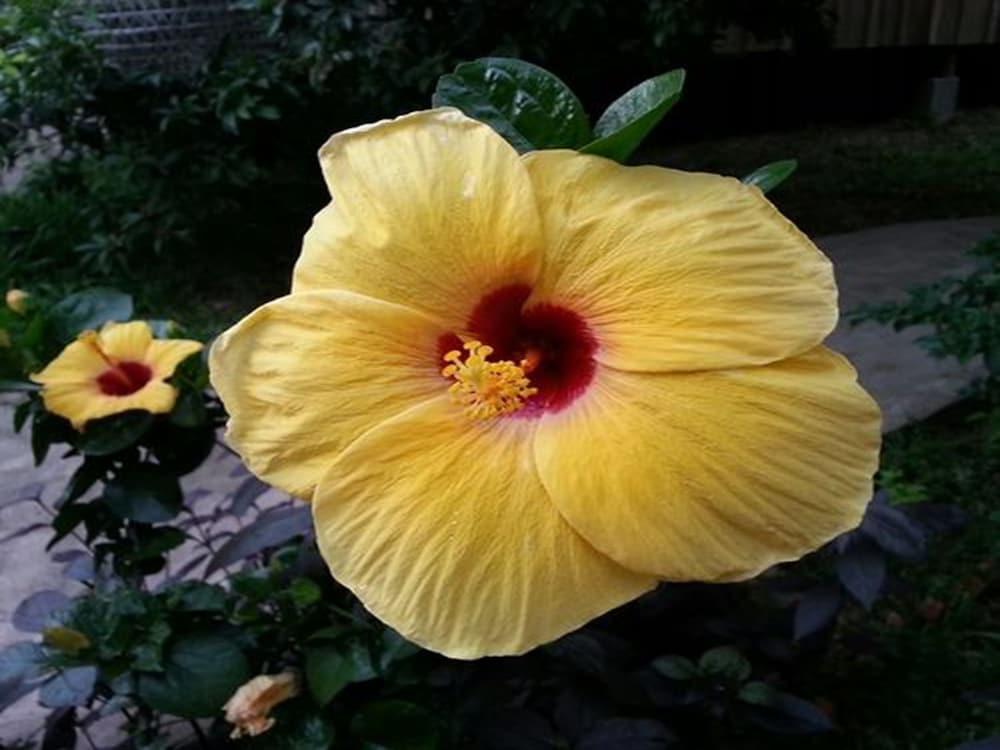 Bird Of Paradise Bungalows Kep Ngoại thất bức ảnh