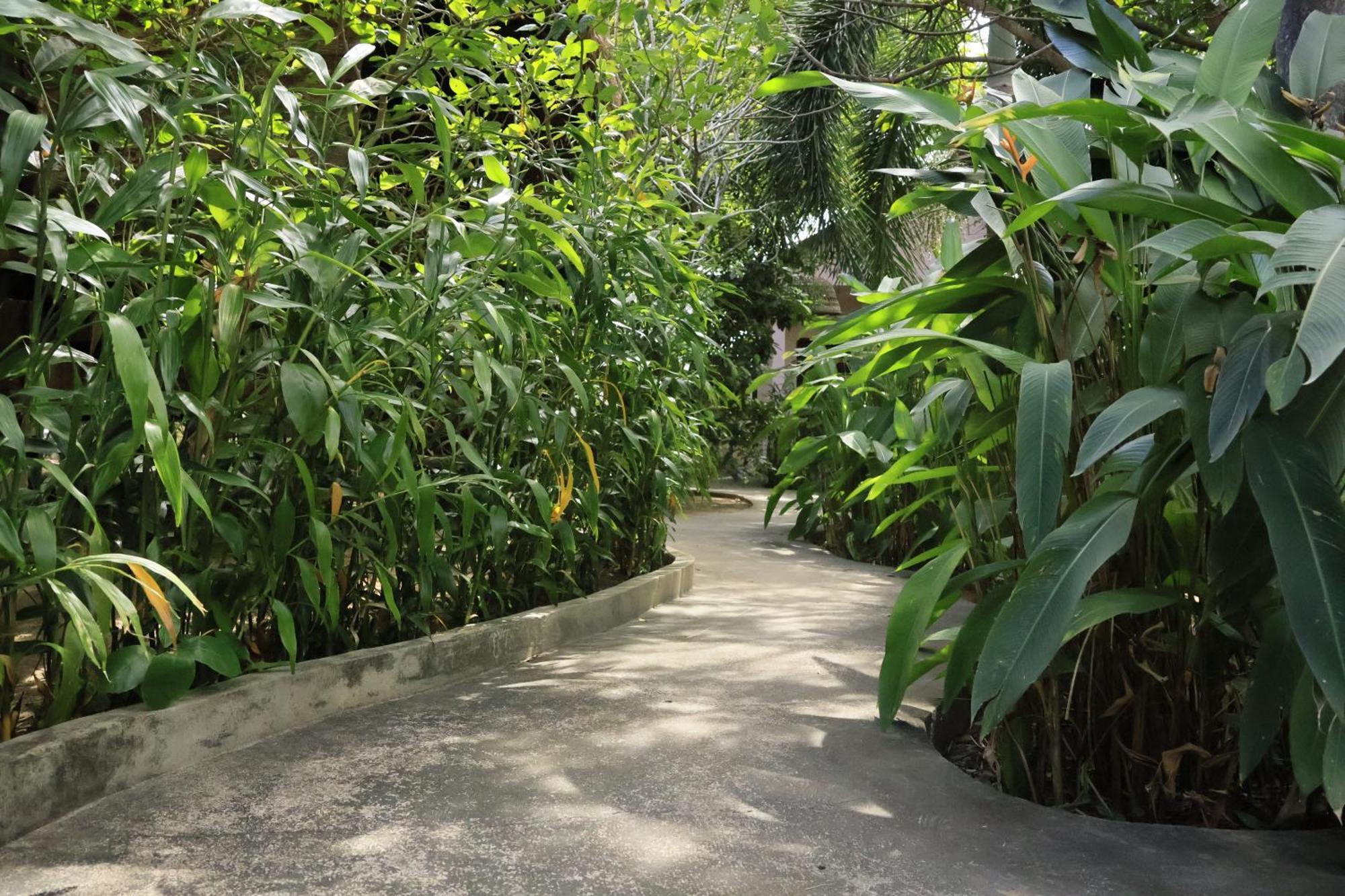 Bird Of Paradise Bungalows Kep Ngoại thất bức ảnh